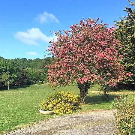 La Chamade Bed & Breakfast 3*