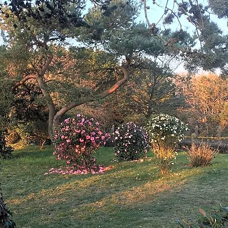 La Chamade Bed & Breakfast