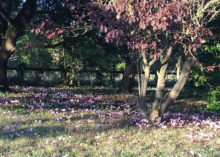 La Chamade Bed & Breakfast