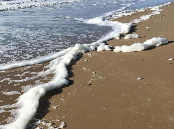 Nocleg ze śniadaniem La Chamade Carolles